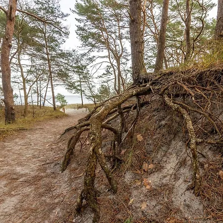 Apartment Haus Arkona - Seestern - 5 2 *